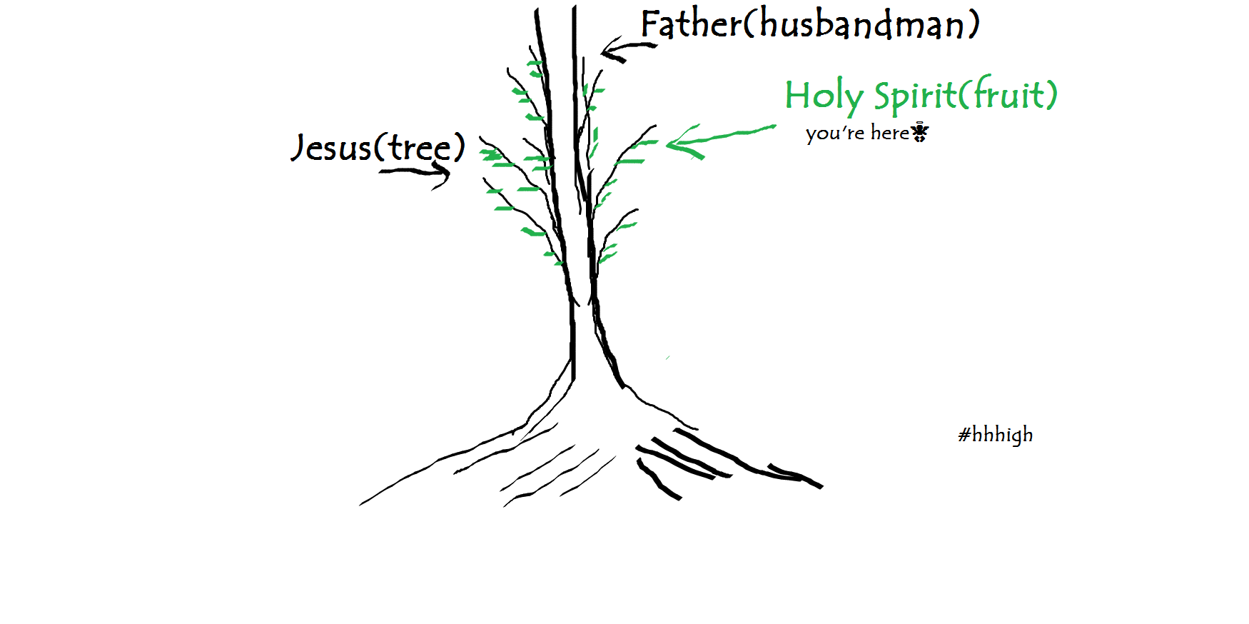 The True Tree