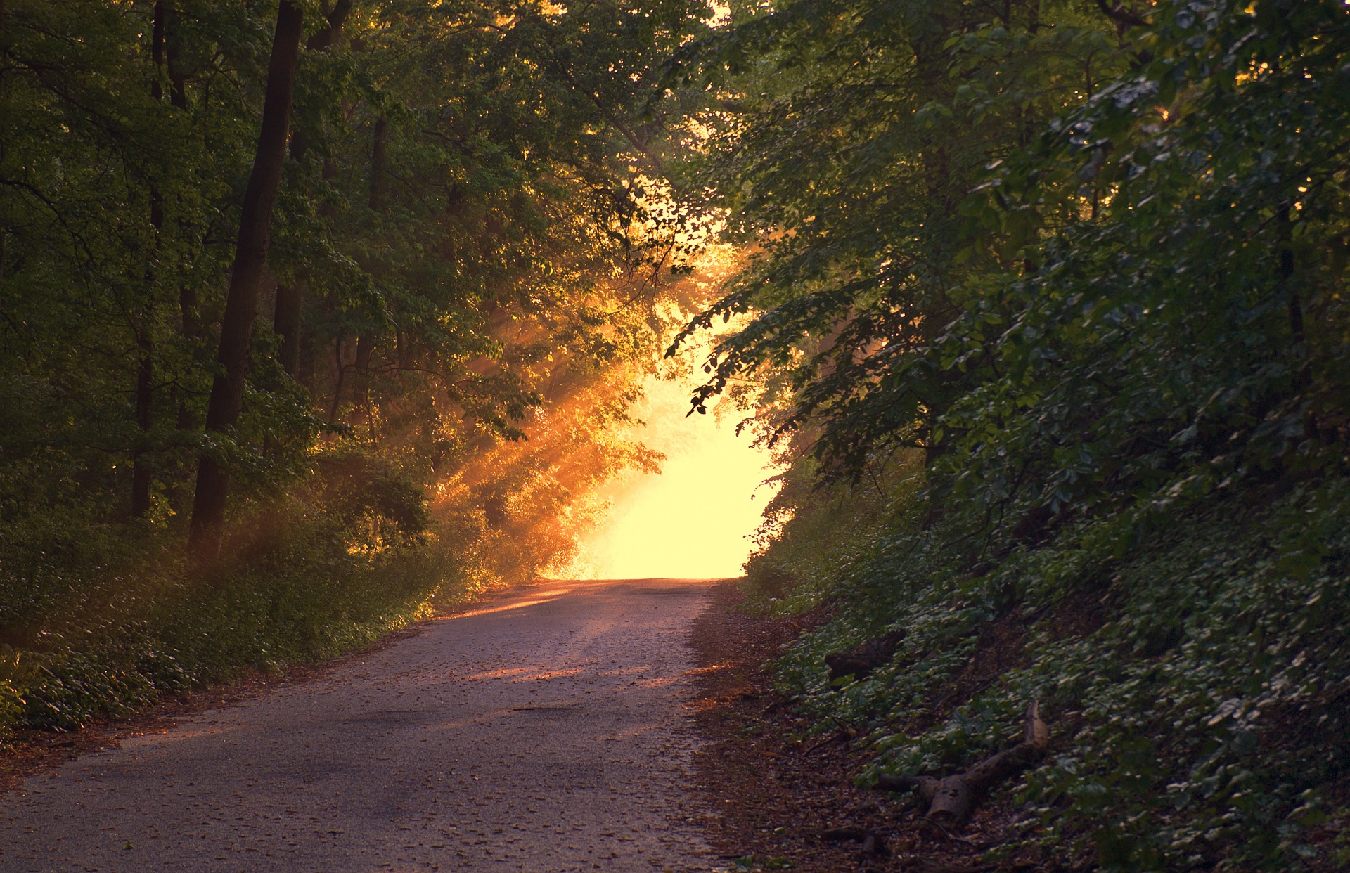 2017 – He Will Make a WAY