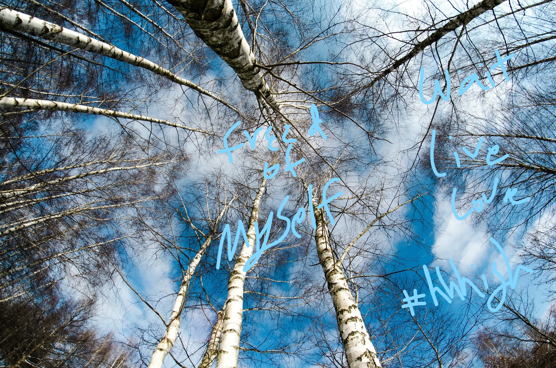 winter-260838_1920_LI