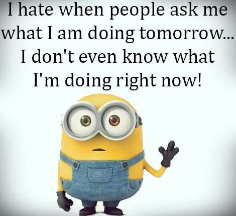 8b8f1719e2e5f582fa888b55d872e6e2--funny-study-quotes-adhd-quotes-funny