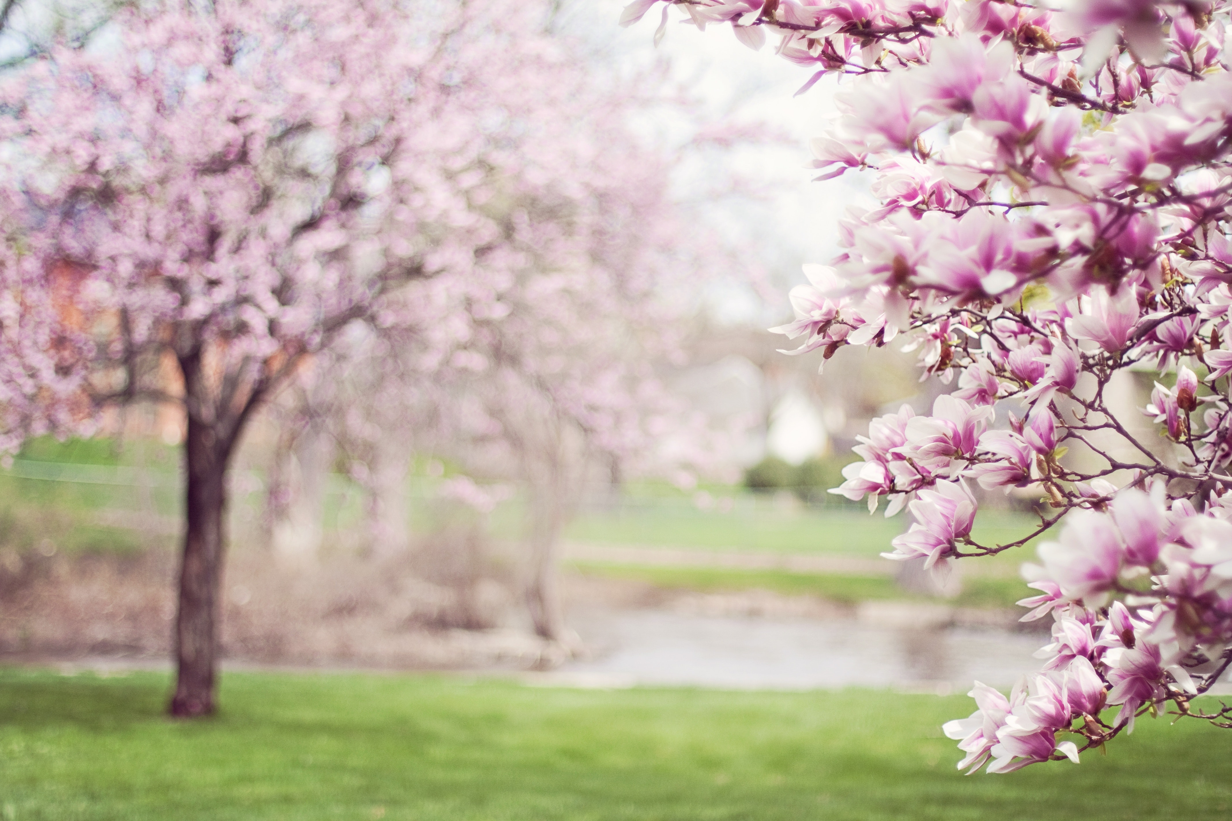Spring days