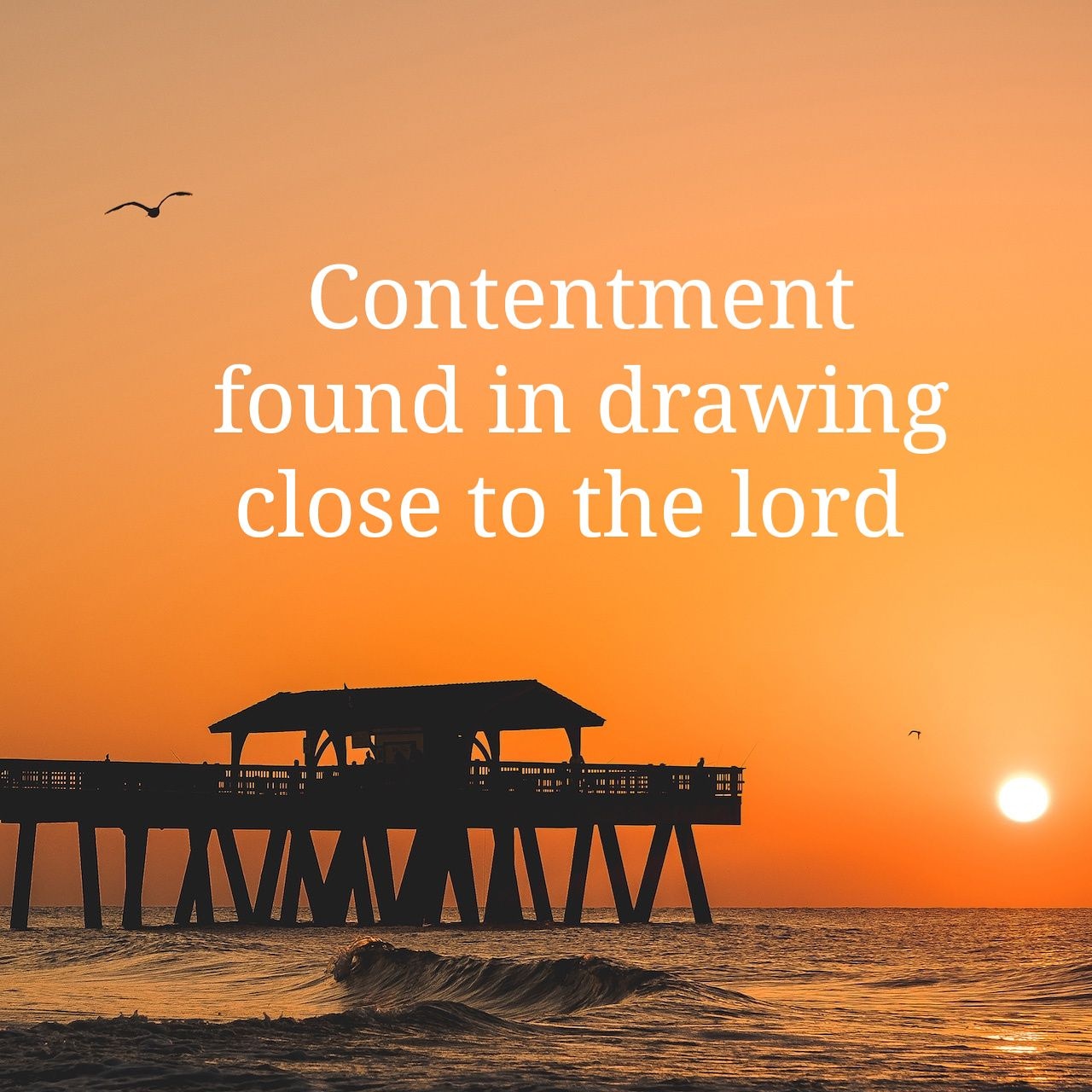 Contentment