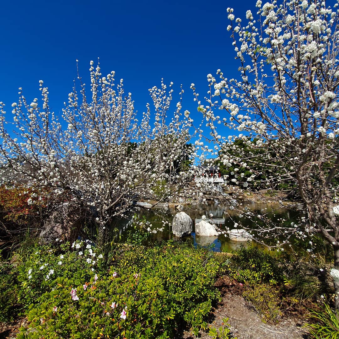 Hello Spring!