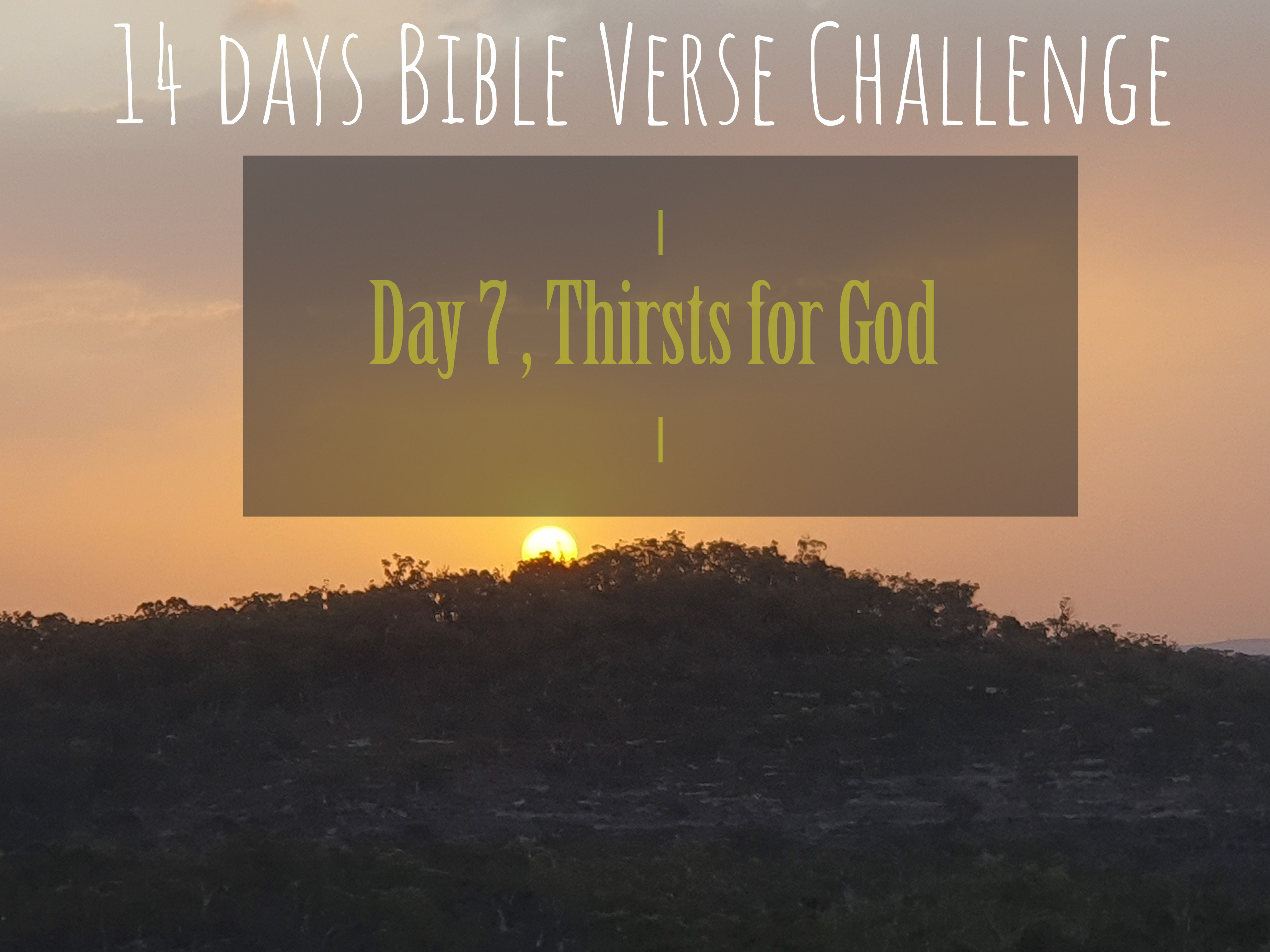 14 days Bible Verse Challenge / Day 7   Thirsts for God