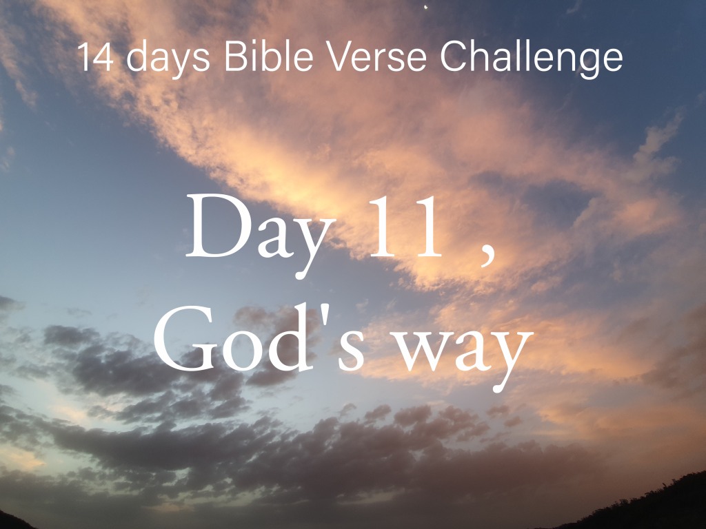 14 days Bible Verse Challenge / Day 11, God’s way