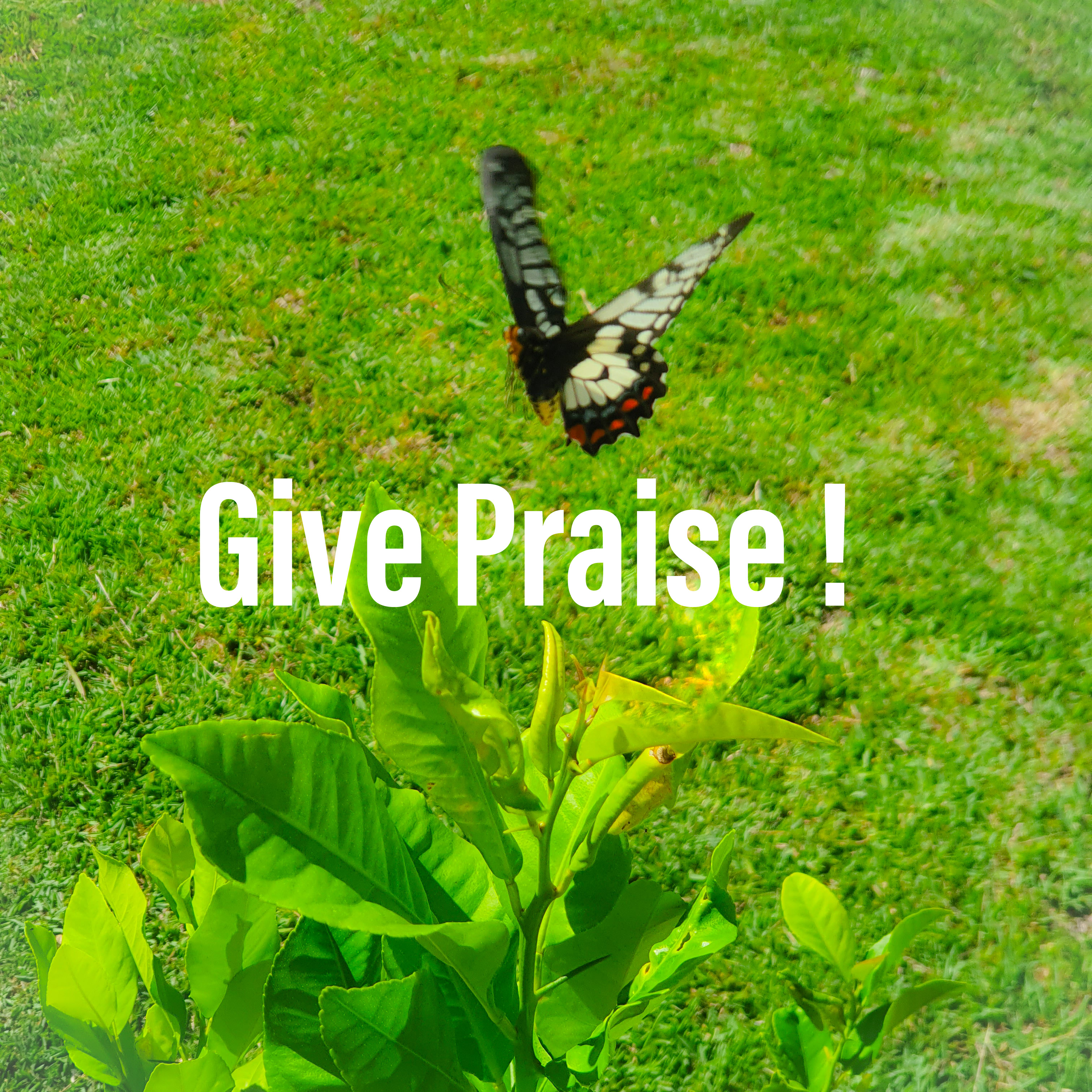 Give Praise