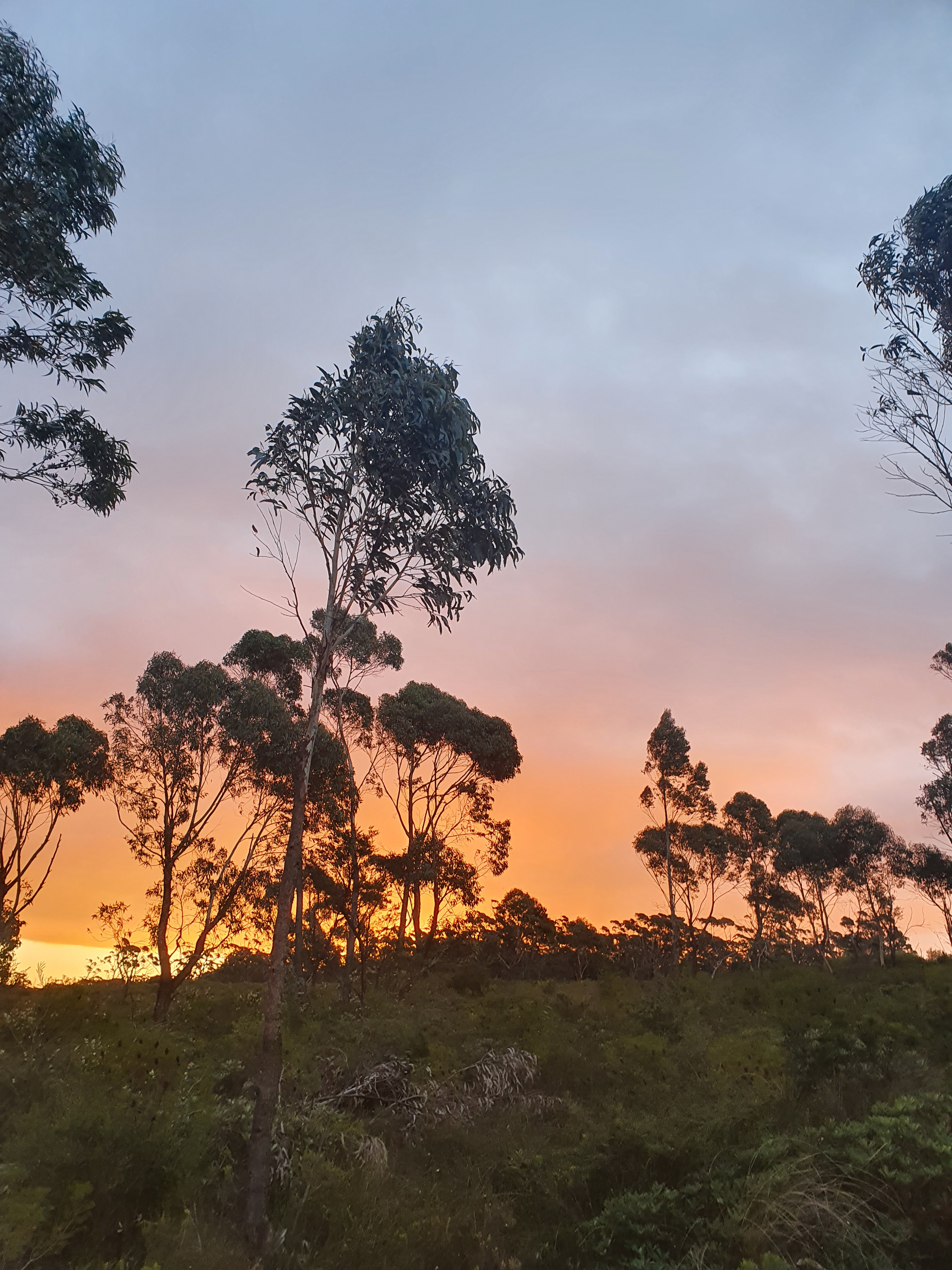 Beautiful nature at Buddero National Park