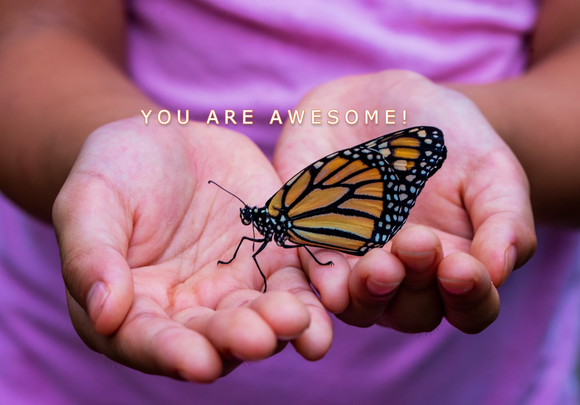 Day 12 – You Are Awesome