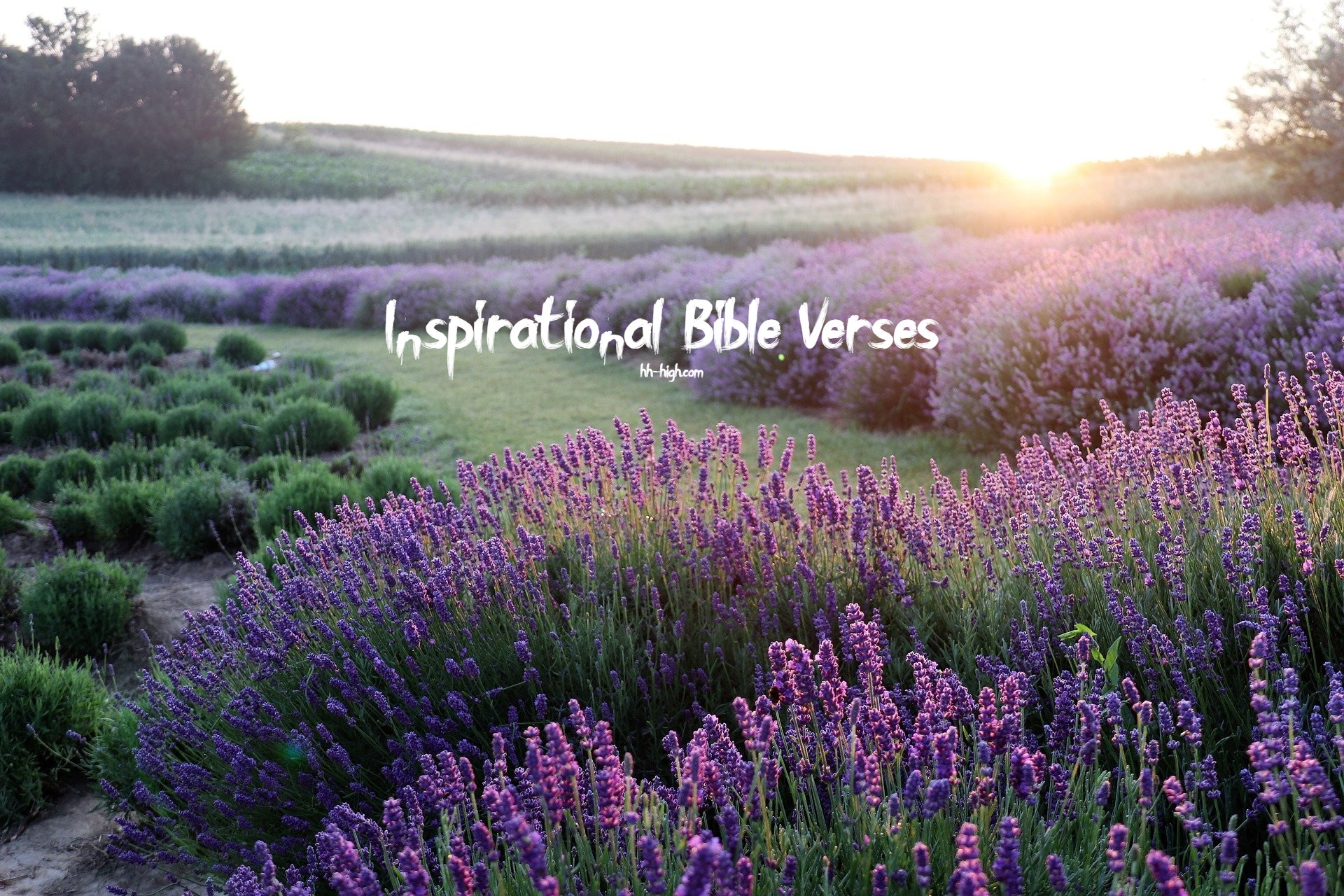 44 Inspirational Quotes from the Bible , Inspirational Bible verses
