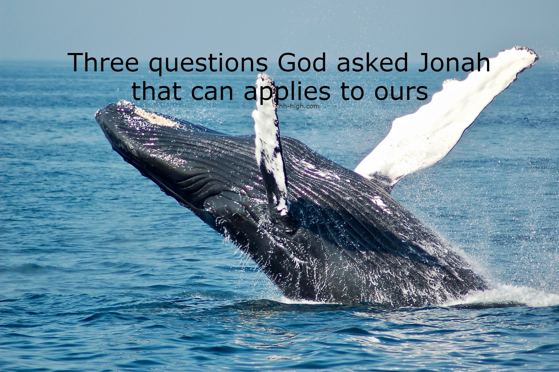 Three Questions God Asked Jonah that Can Applies to Ours
