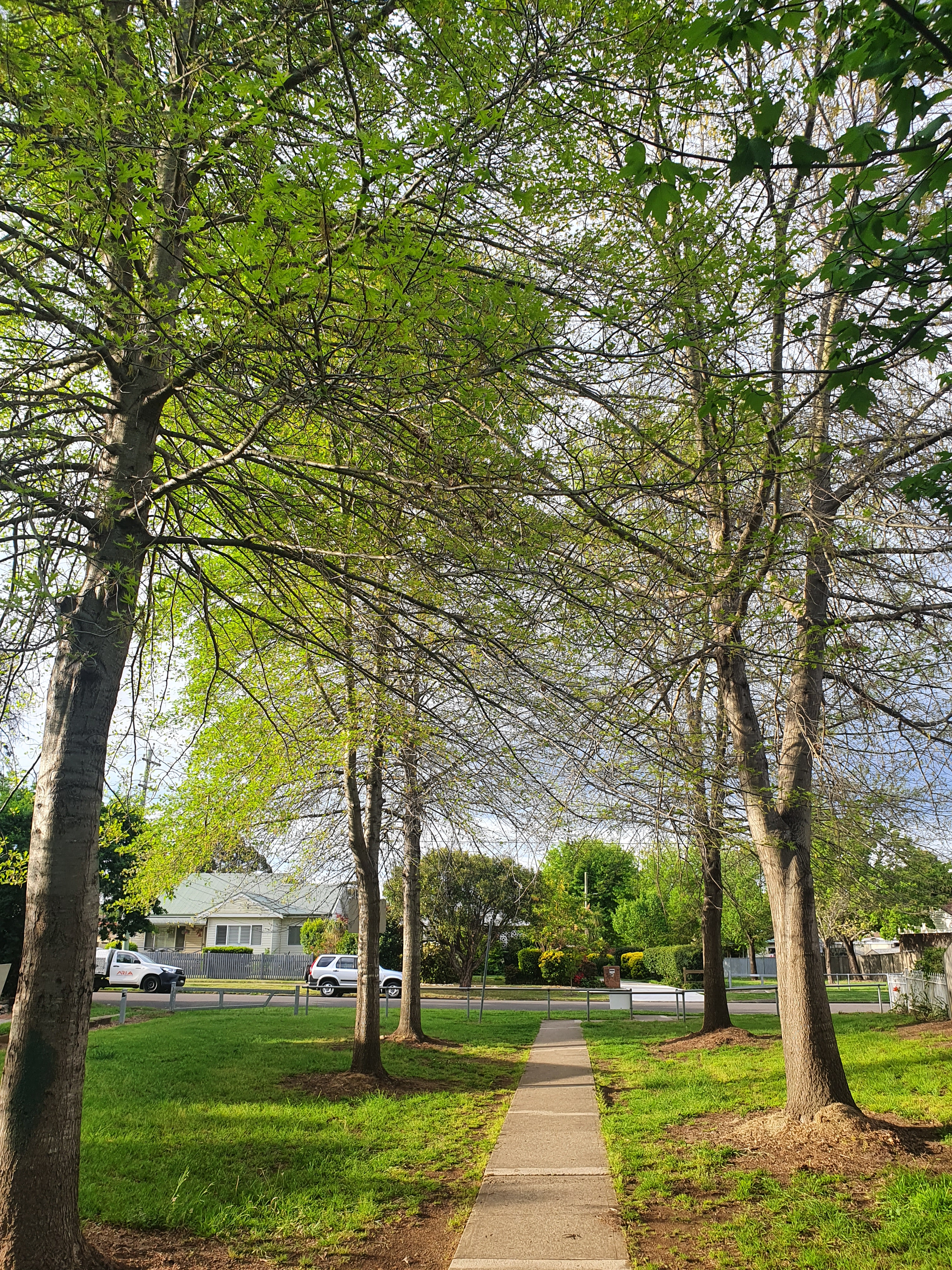 Inspirational walking, Rest in the shade of the trees