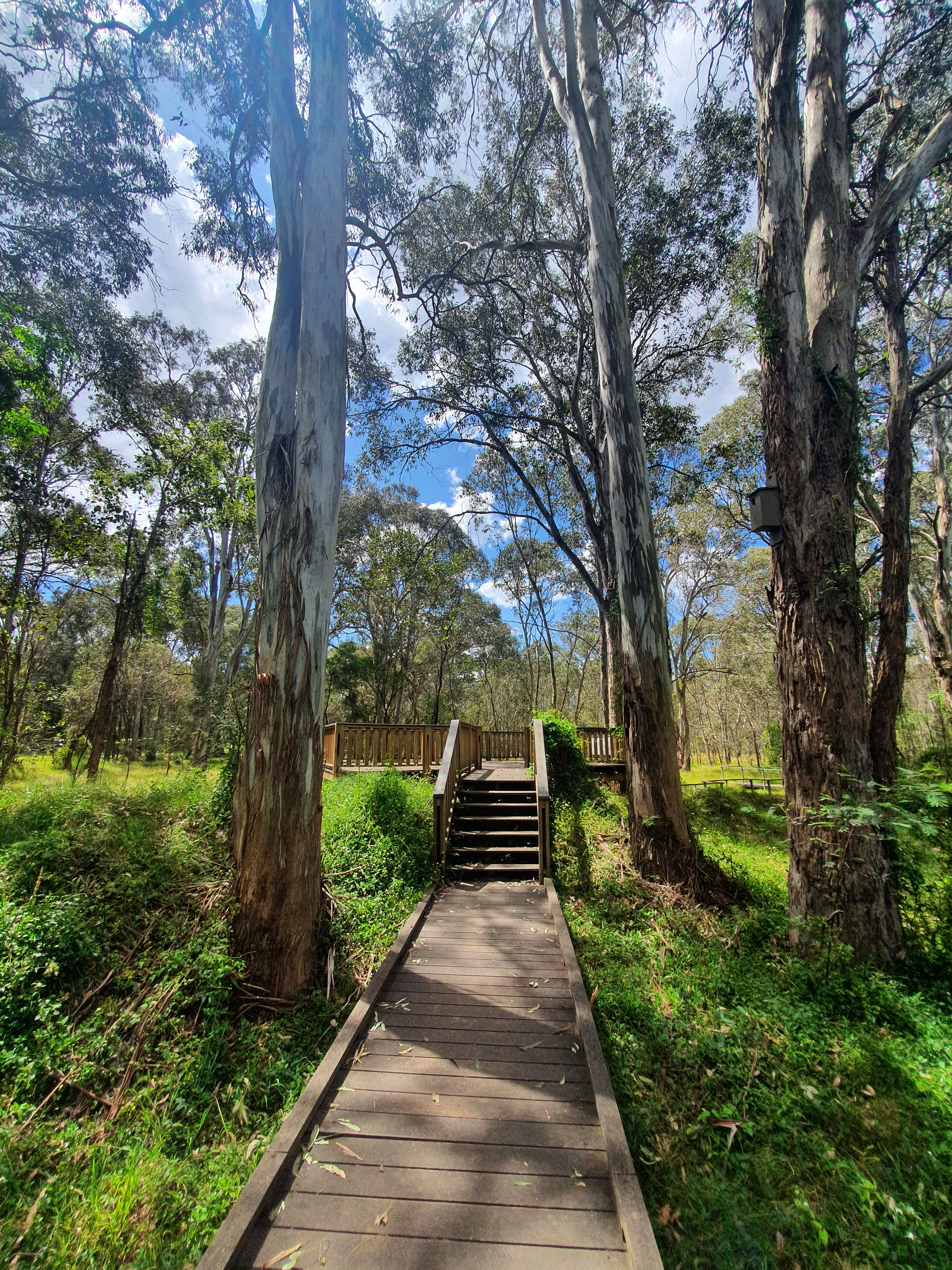 Nature has a story to tell, a new fresh start, don’t delay getting into the nature