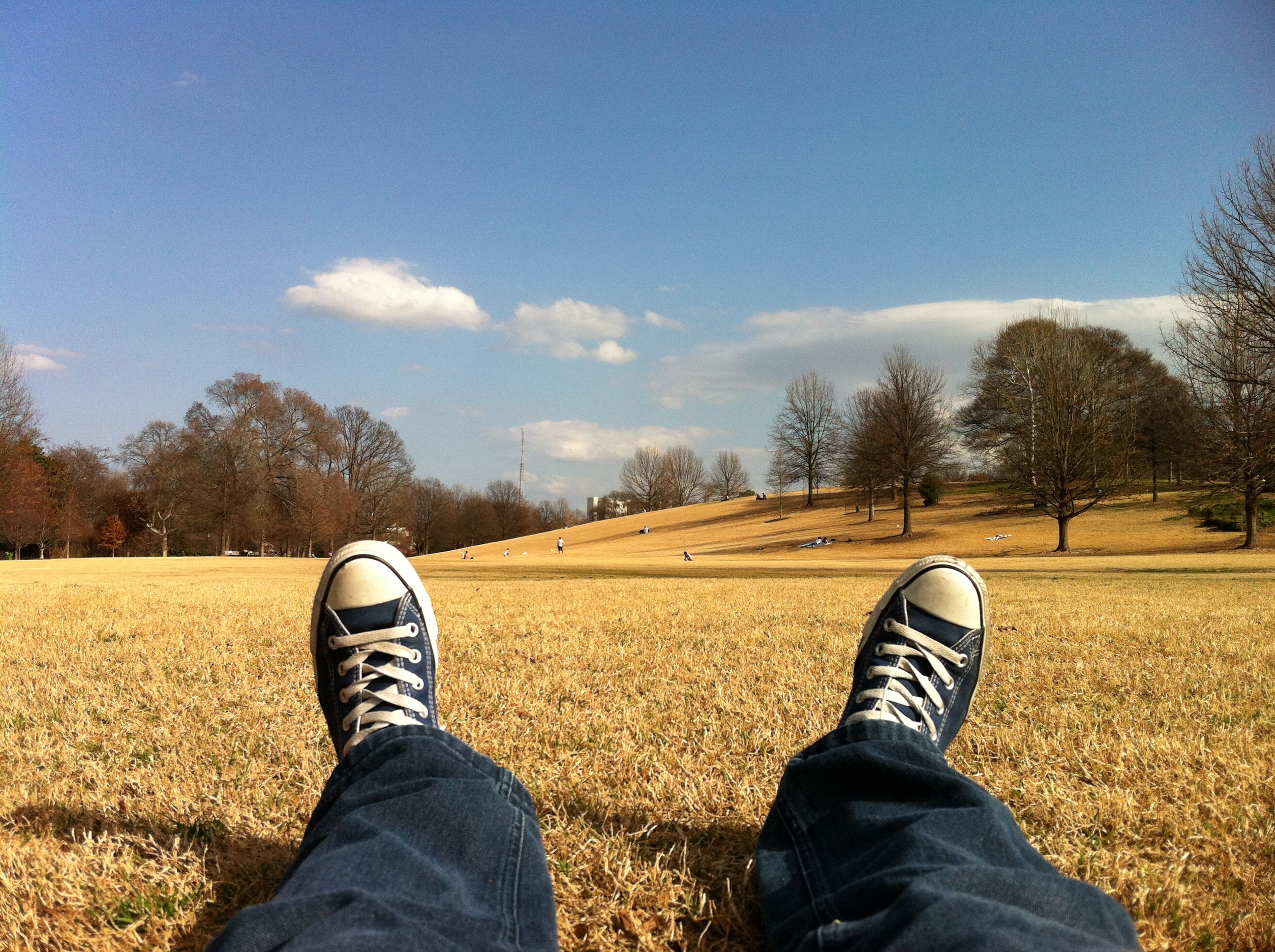 This blog is the place of rest, come and have a read and rest