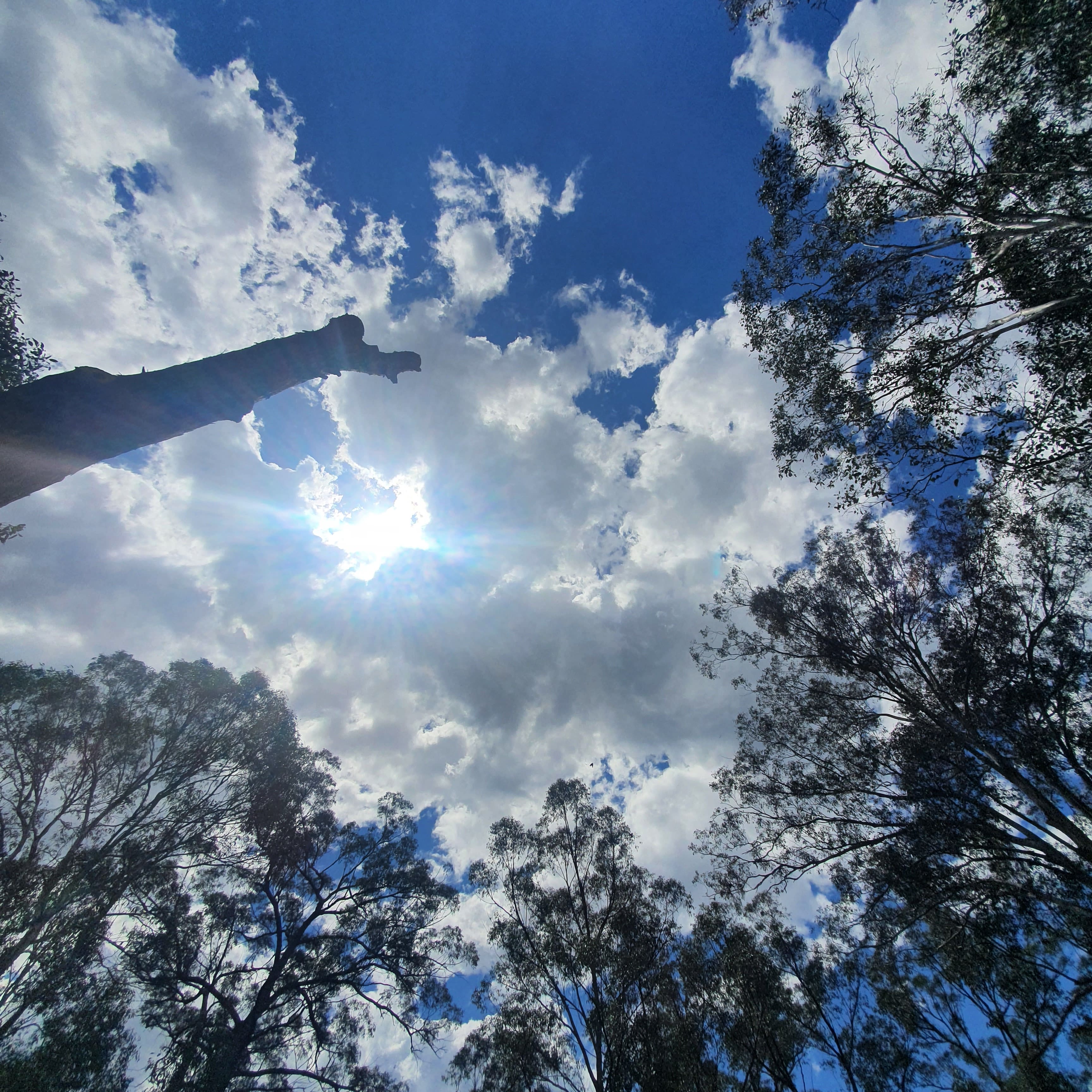 A sunny day, oh I can see more