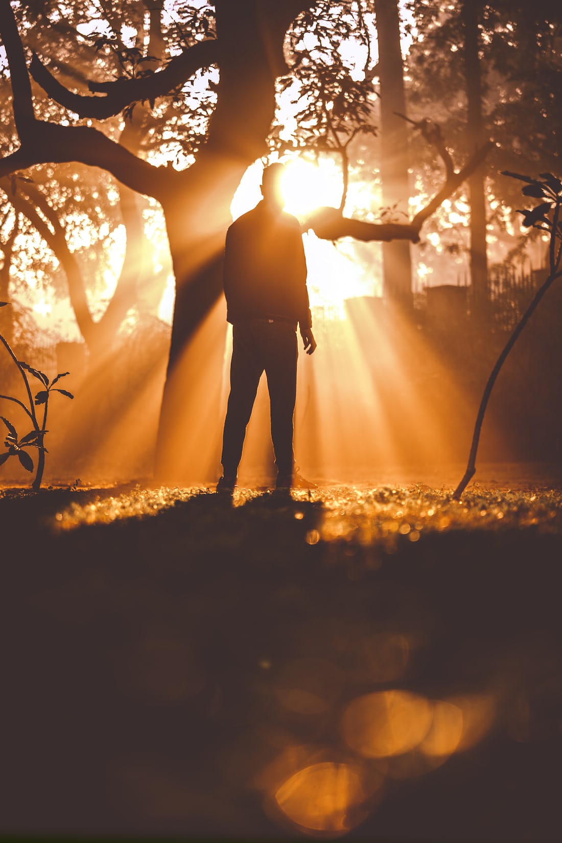 God’s wonderful light leads us