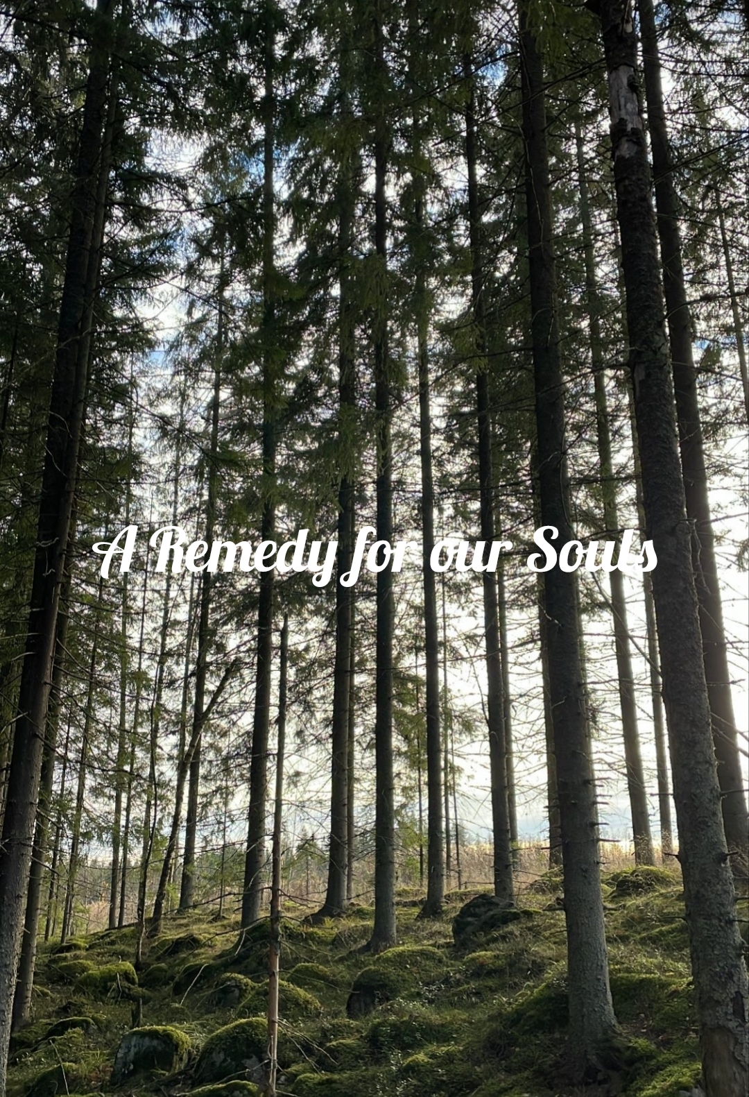 A Remedy for our Souls