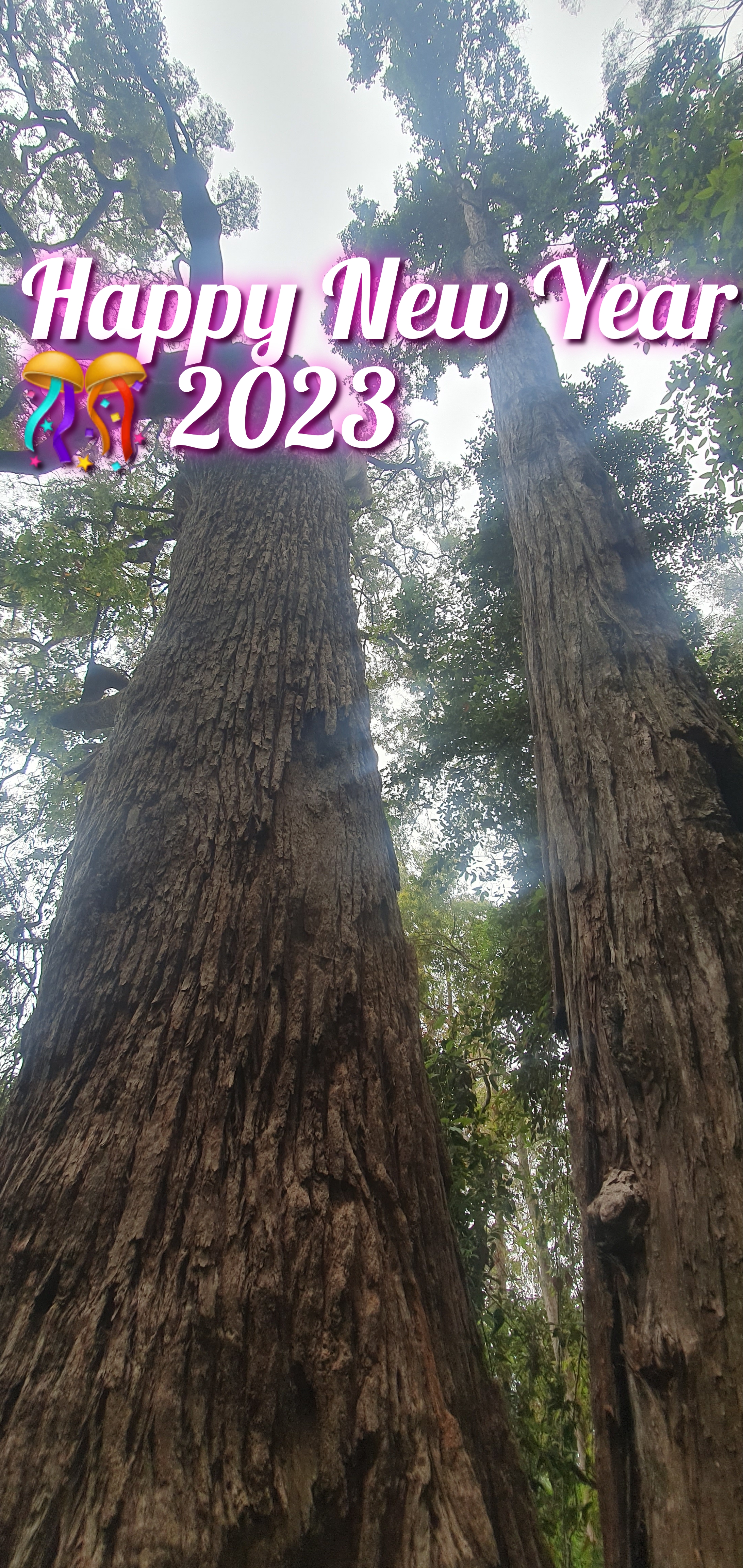 Time to let go of the past, and welcome 2023