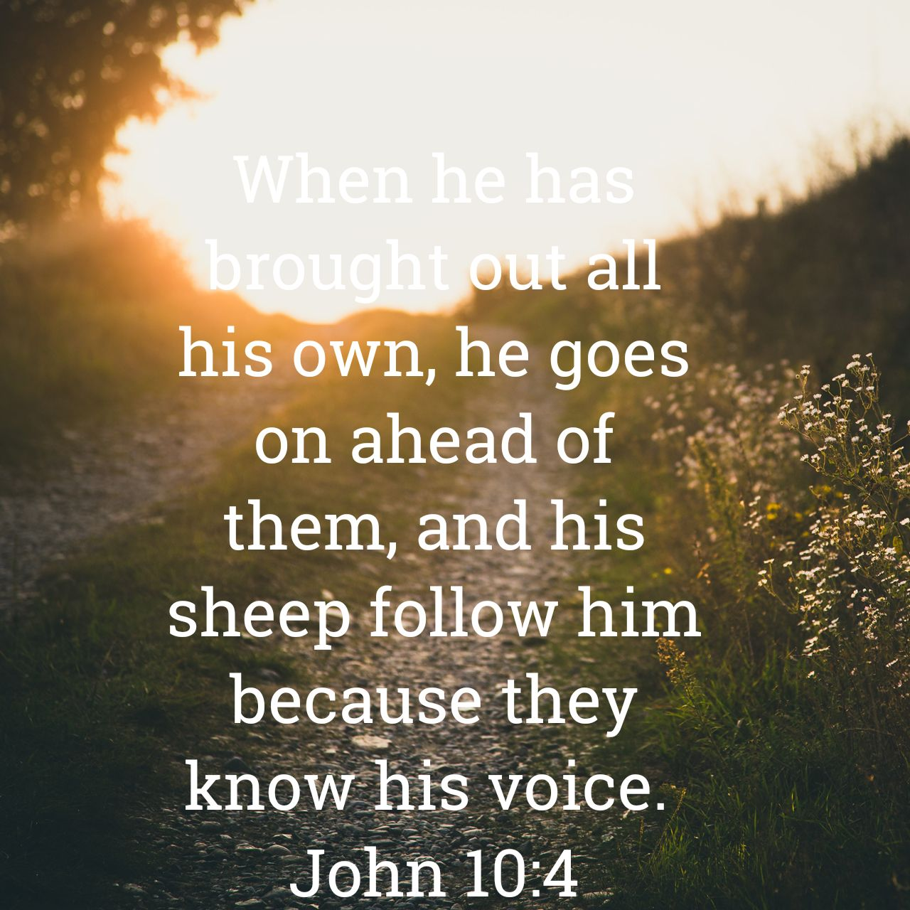 Bible Verse of the Day