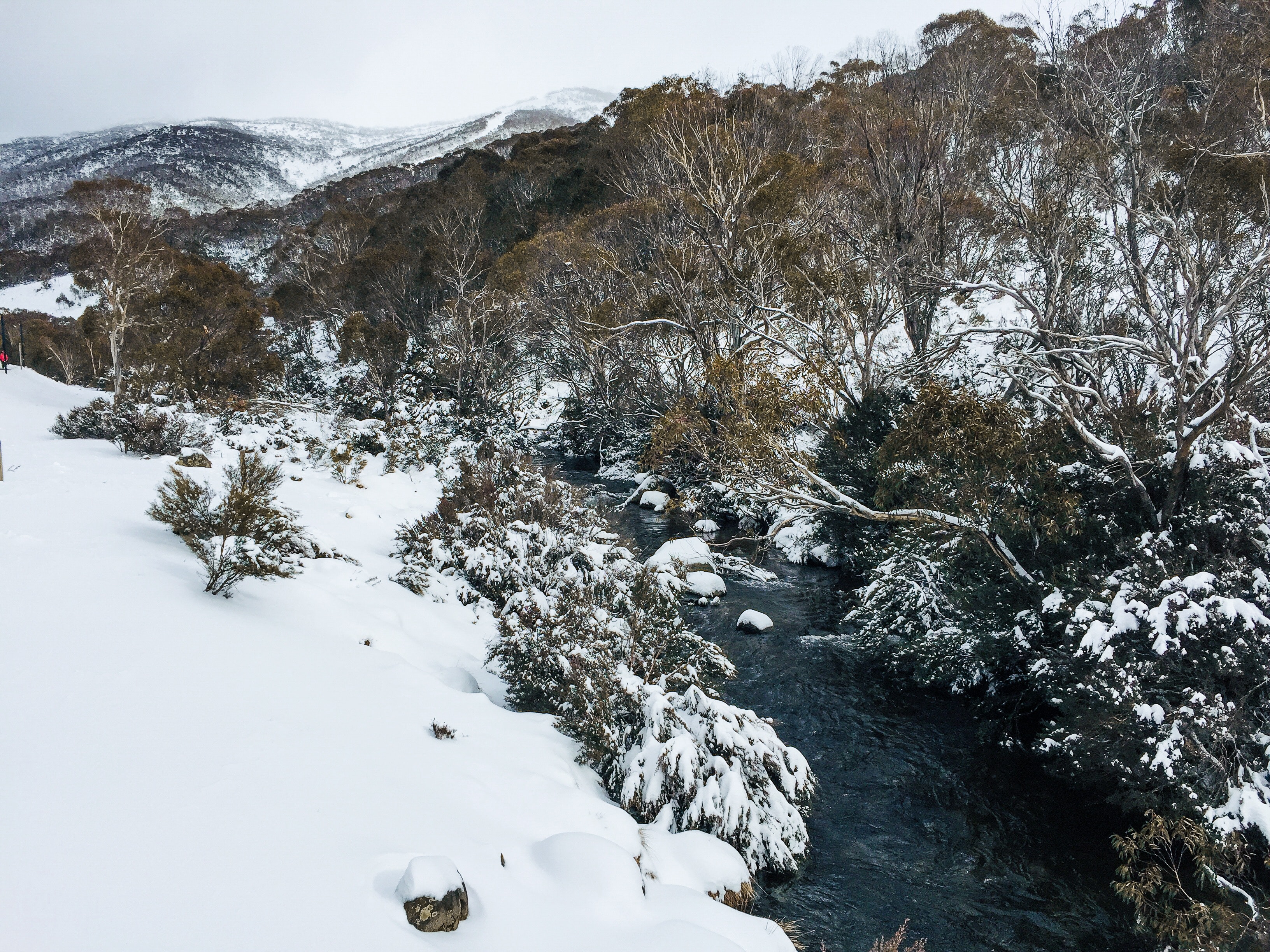 Embracing Winter in Australia, June arrival in Australia