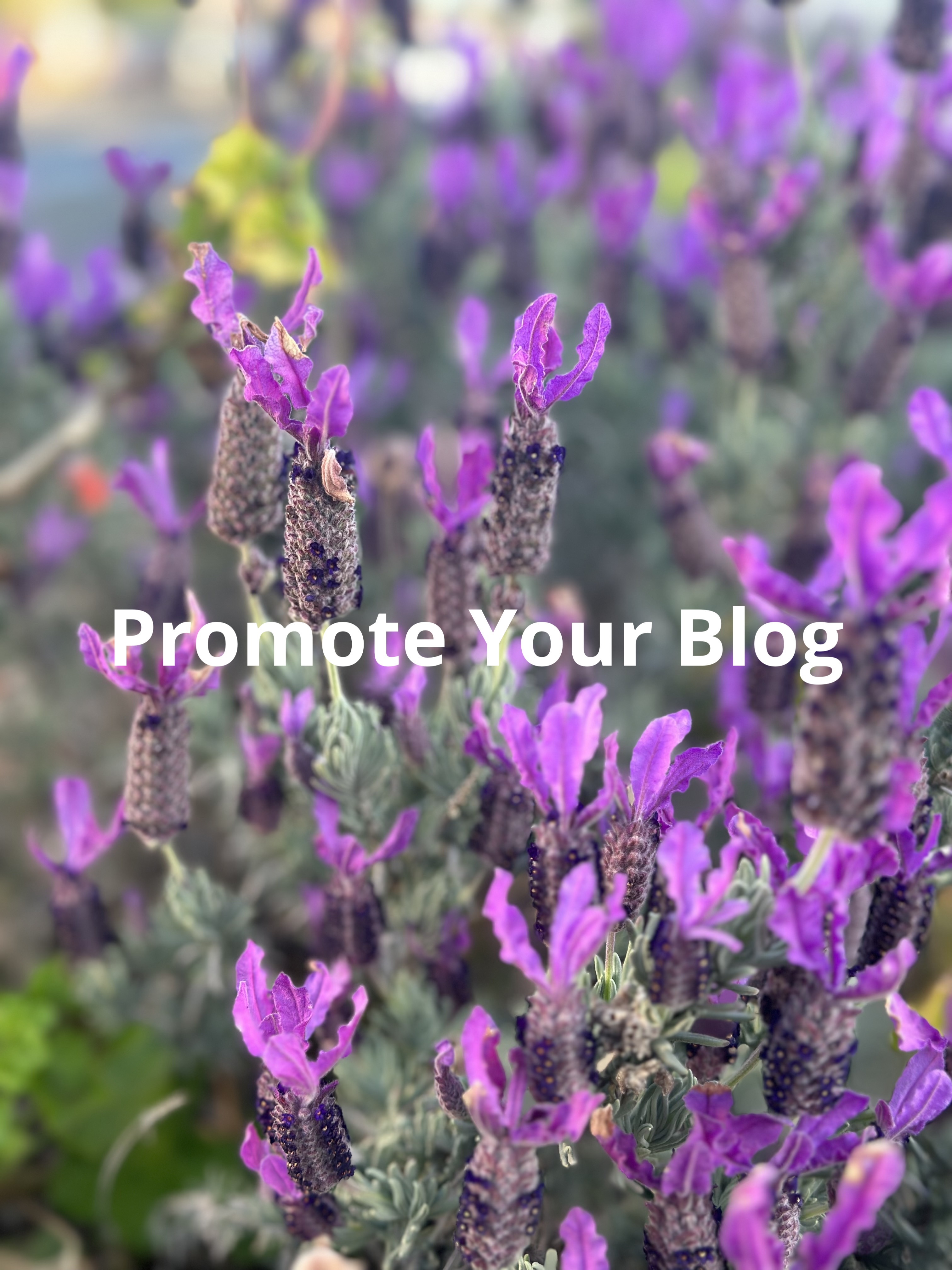 Introduce your Blog; Open Mic; Promote Your Blog