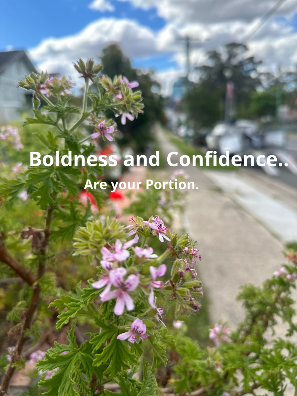 Boldness and Confidence are your Portion