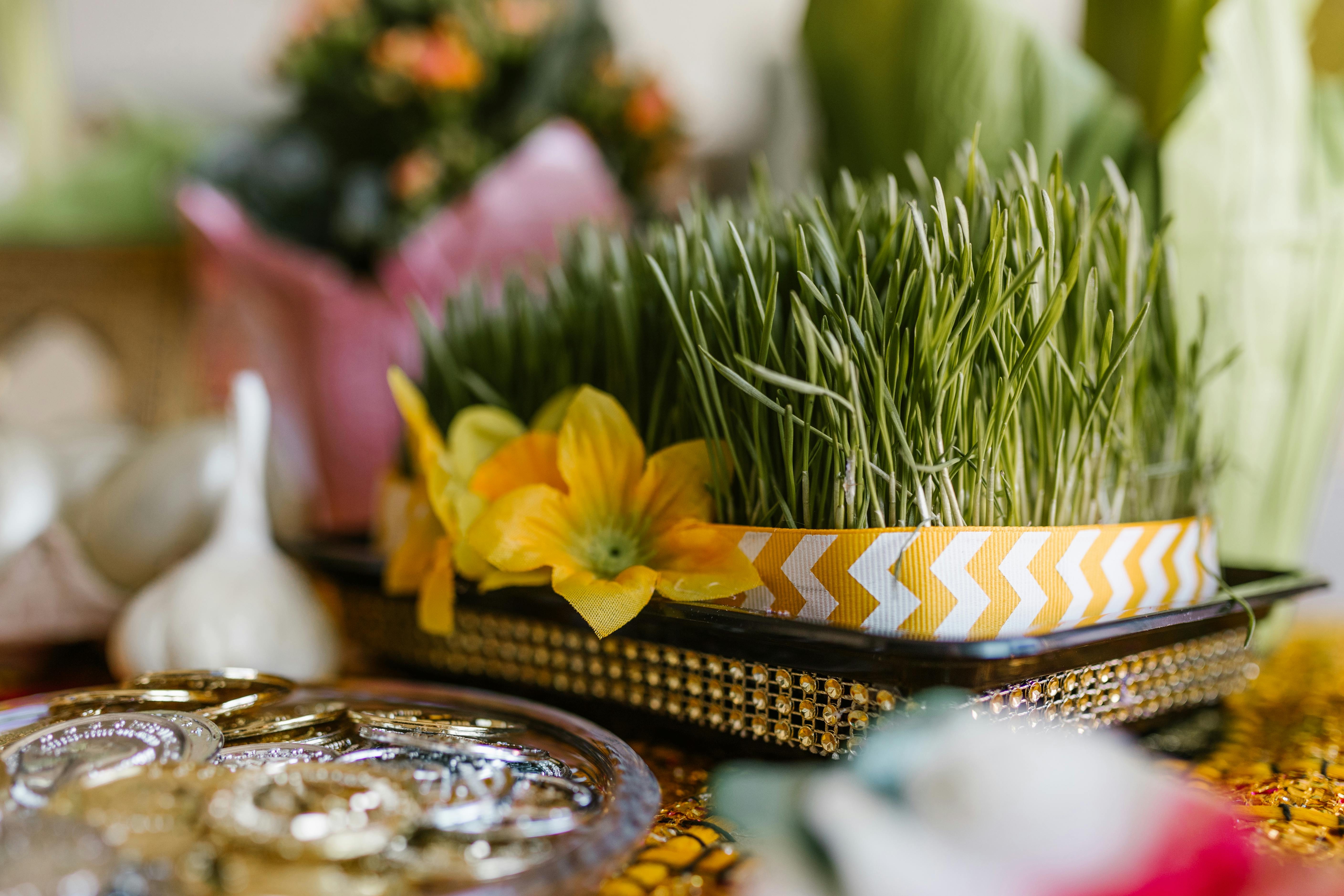 Nowruz Mubarak: A Celebration of New Beginnings