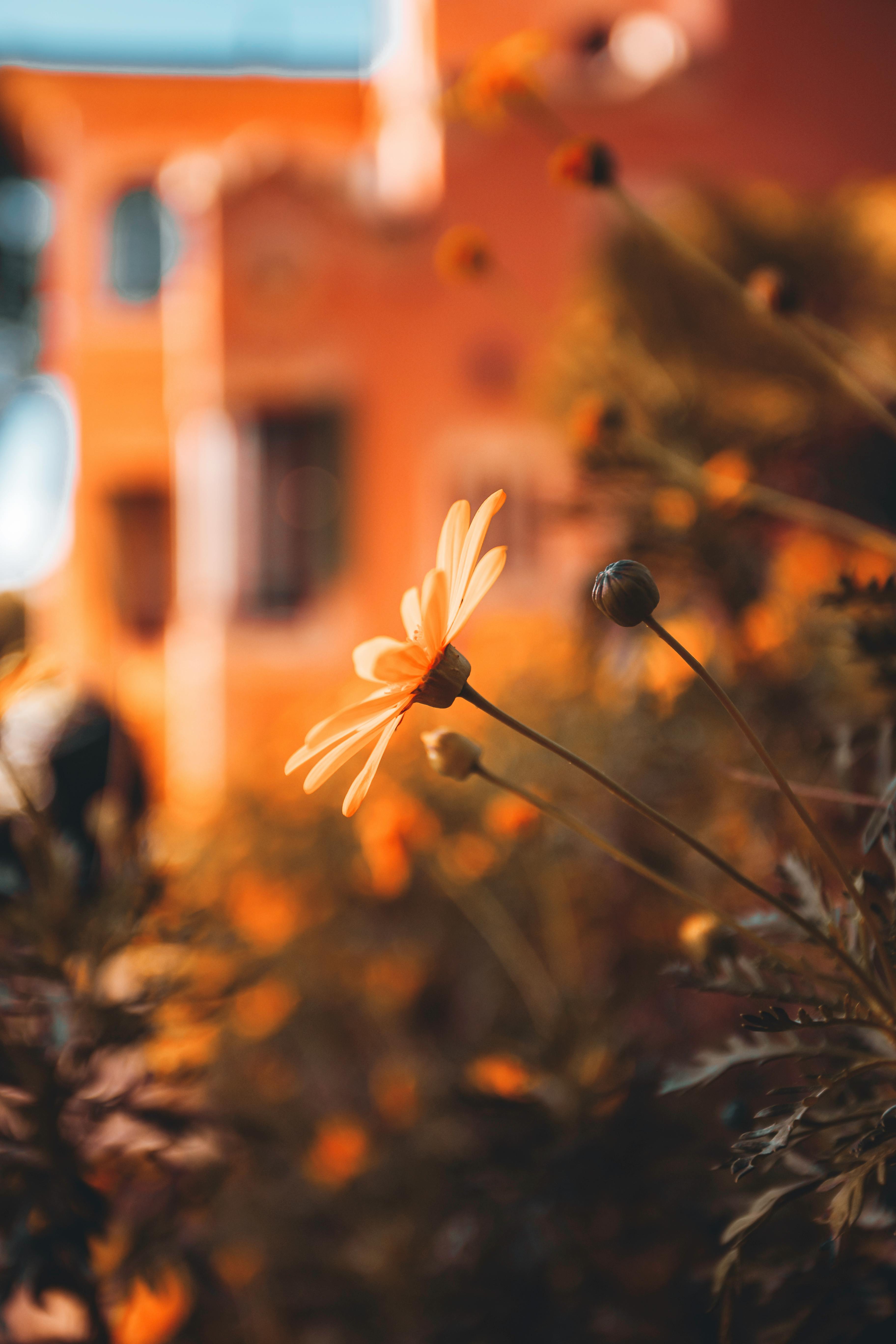 Journeying Through Brokenness: Reflections on Good Friday and Resurrection Sunday