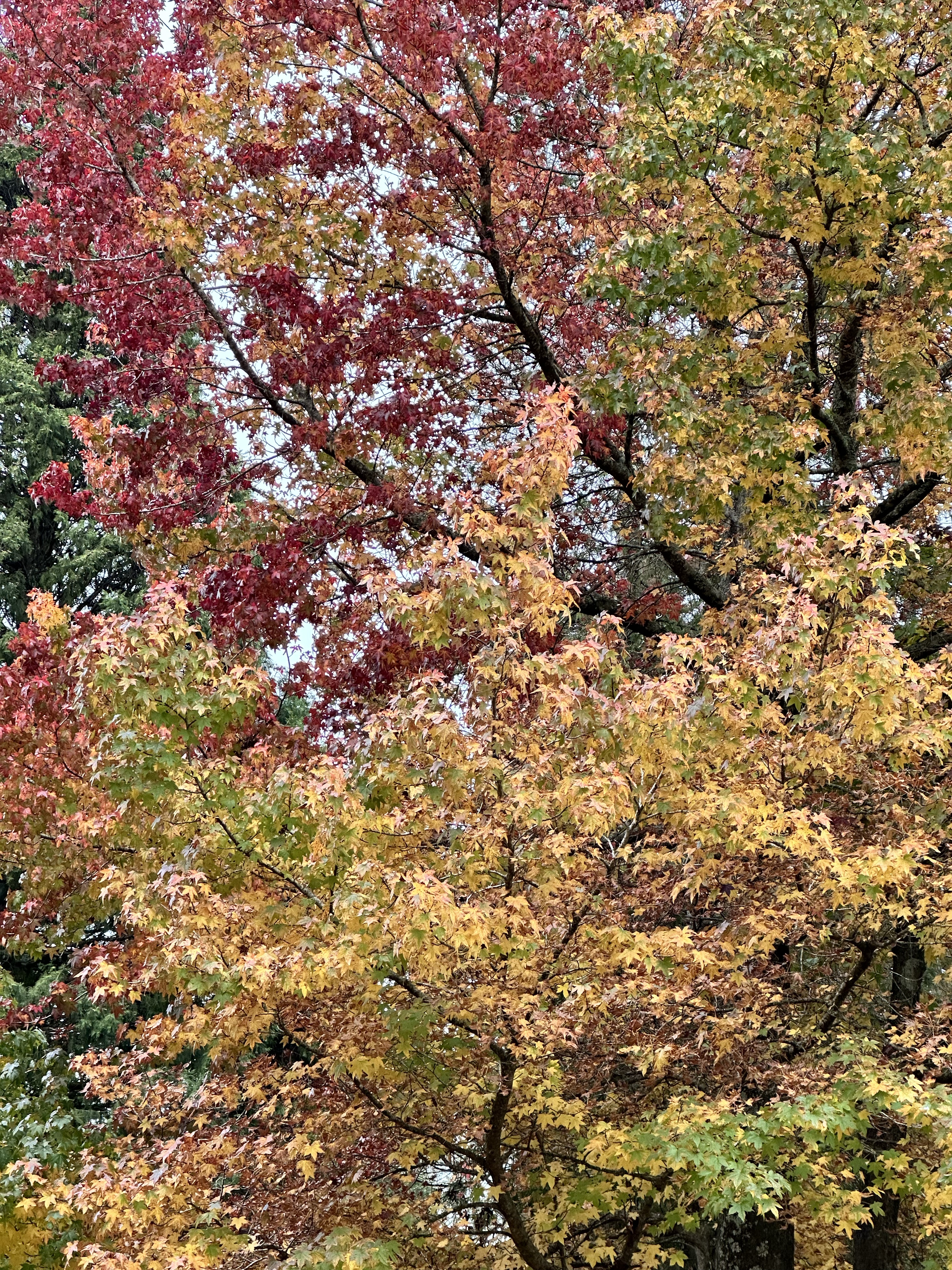 Finding Strength in Change and Faith