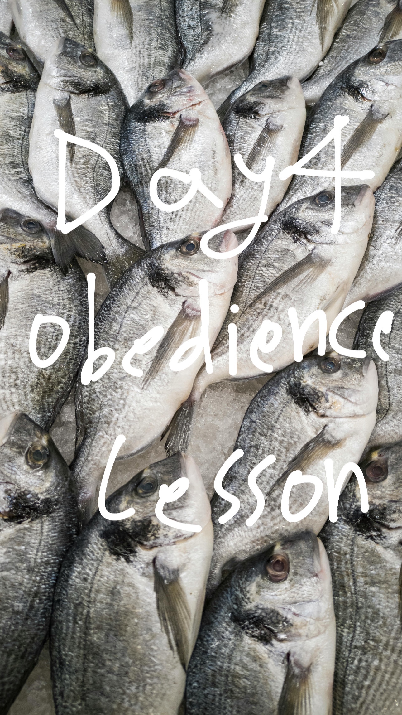 🐟🐠Day 4 of 7-day Devotion ; Have You Caught Any Fish? 🎣Obedience Lesson