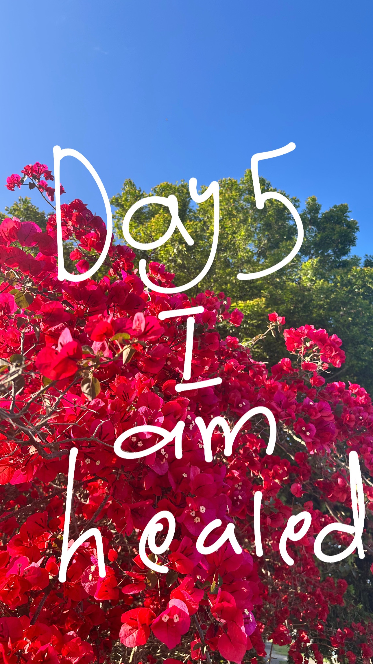 Day 5 of 7-day Devotion : I Am Healed!❤️‍🩹