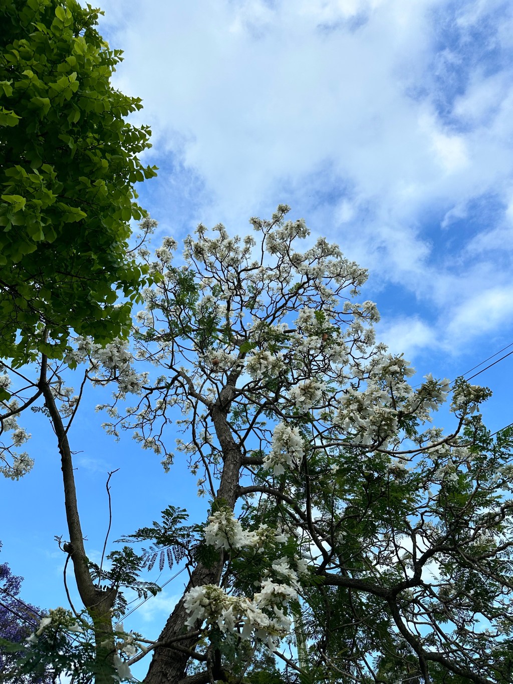 Called to Shine: A Prayer of Blessing and Purpose Over You