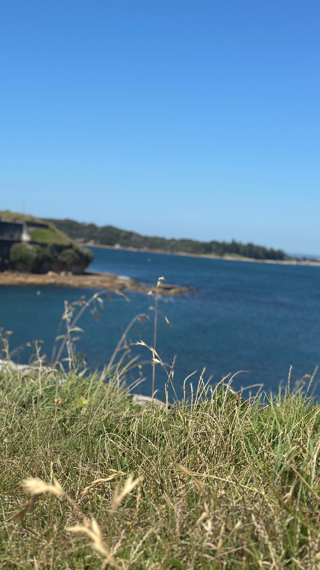 Take Heart, Young Hearts!