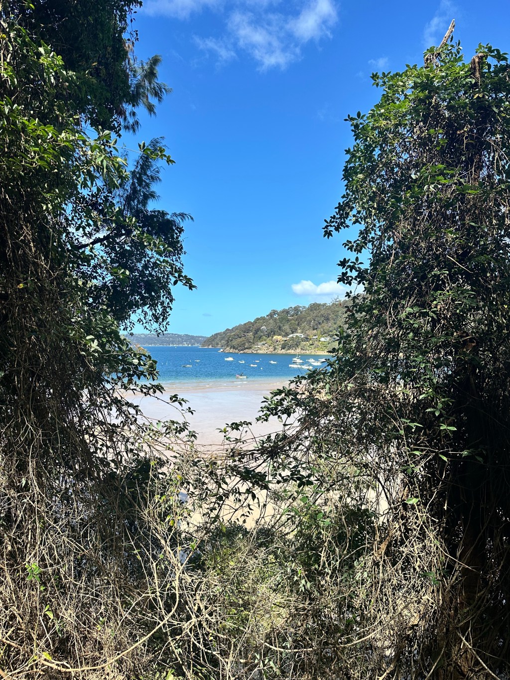 A Walk in God’s Perfect Garden