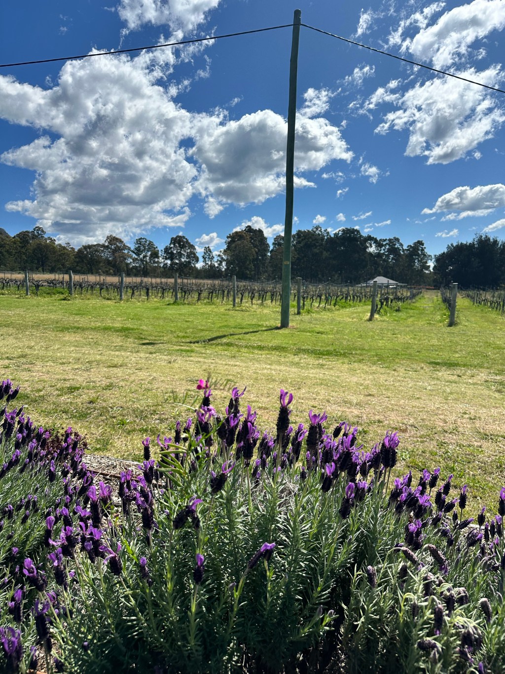 I always love you Jesus