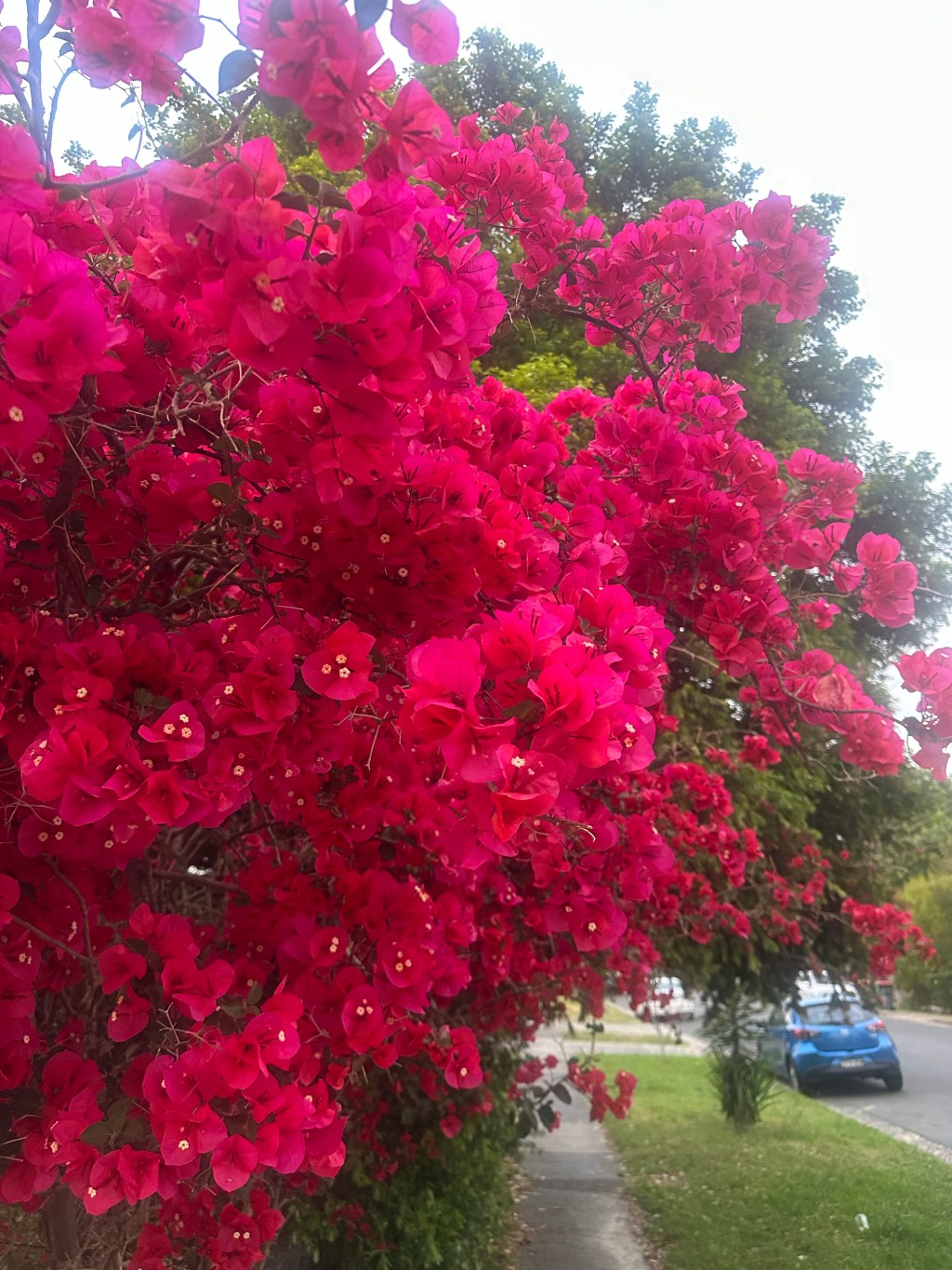 🌿 Season In, Season Out — God Remains the Same