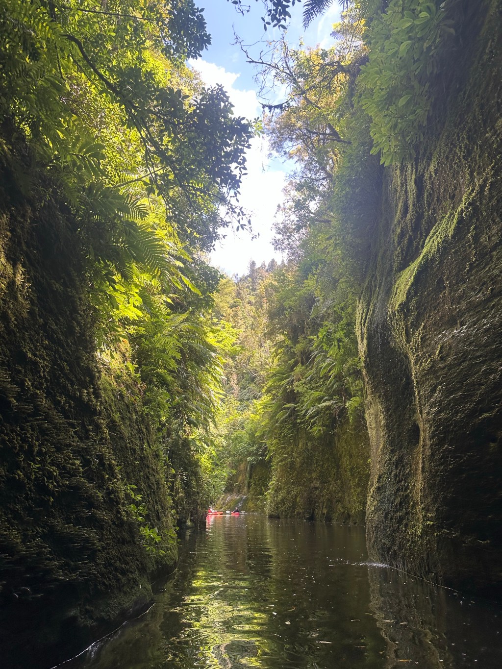 When Belief Was Strengthened by&nbsp;Beauty